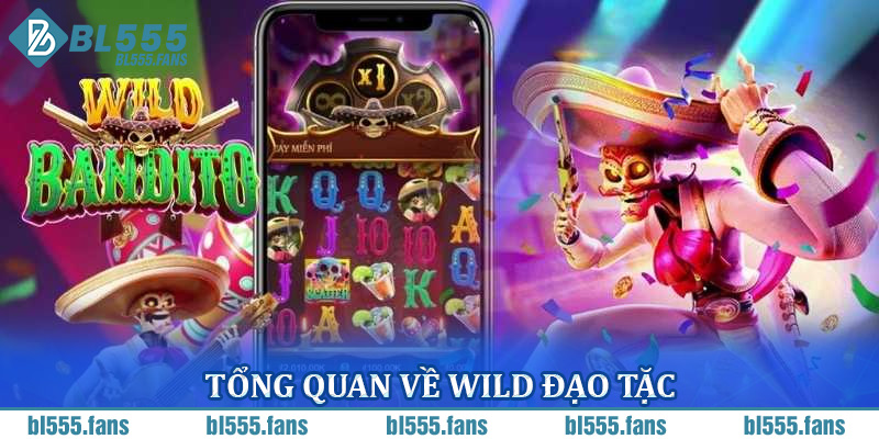 Tổng quan về Wild Đạo Tặc