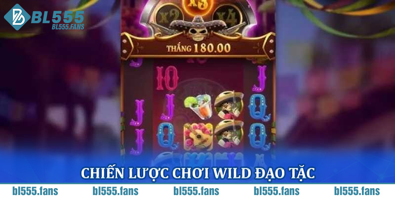Chiến lược chơi Wild Đạo Tặc