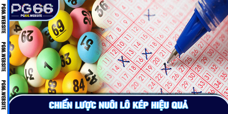 Chiến lược nuôi lô kép hiệu quả