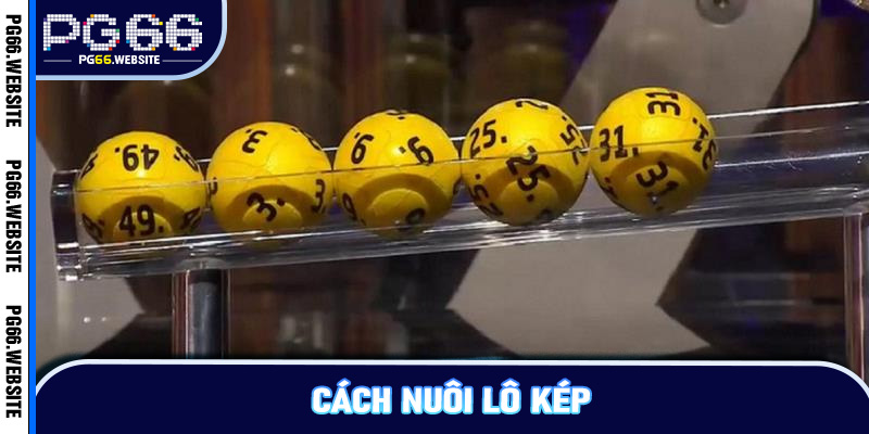 Cách Nuôi Lô Kép
